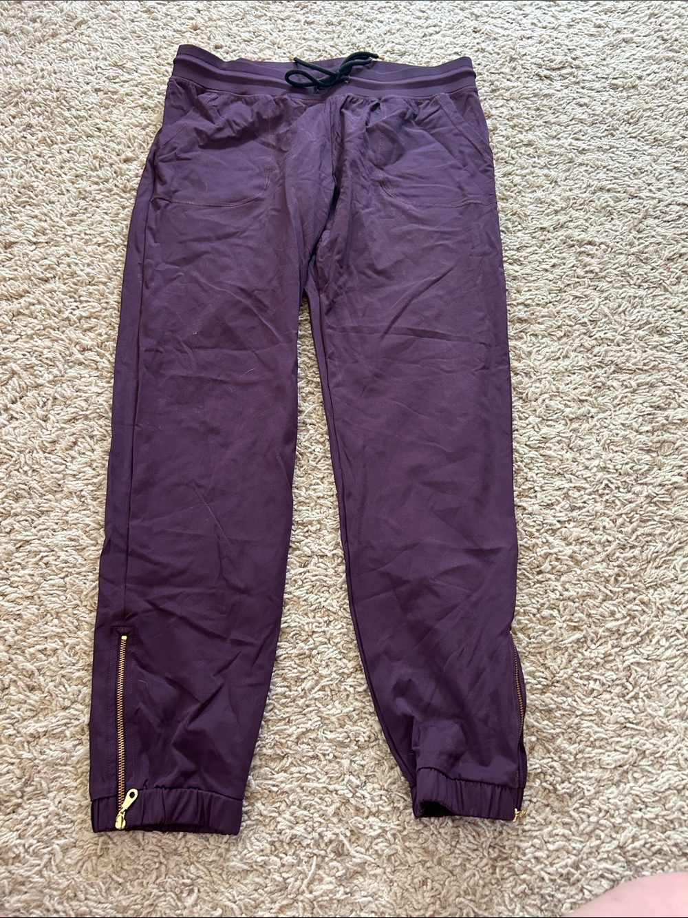 Zyia Active Plum Jogger Pants with Gold Zipper Detail